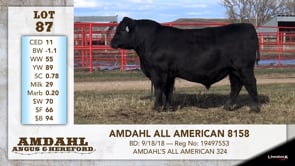 Lot #87 - AMDAHL ALL AMERICAN 8158