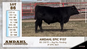 Lot #86 - AMDAHL EPIC 9157