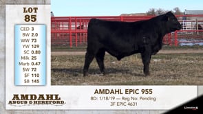 Lot #85 - AMDAHL EPIC 955