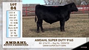 Lot #84 - AMDAHL SUPER DUTY 9165