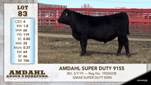Lot #83 - AMDAHL SUPER DUTY 9155