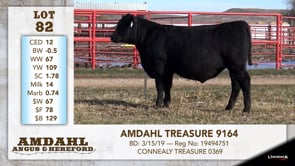 Lot #82 - AMDAHL TREASURE 9164