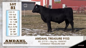 Lot #81 - AMDAHL TREASURE 9153