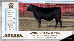 Lot #80 - AMDAHL TREASURE 9135