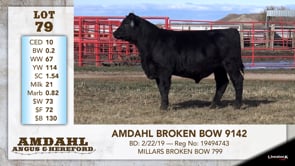 Lot #79 - AMDAHL BROKEN BOW 9142