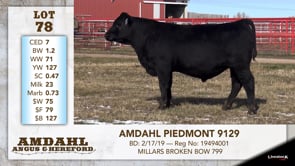Lot #78 - AMDAHL PIEDMONT 9129