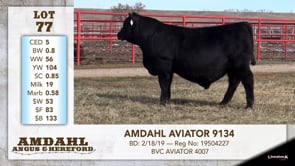 Lot #77 - AMDAHL AVIATOR 9134