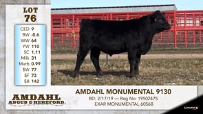 Lot #76 - AMDAHL MONUMENTAL 9130