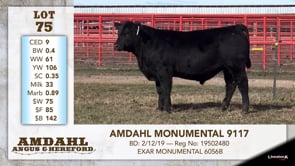 Lot #75 - AMDAHL MONUMENTAL 9117