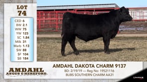 Lot #74 - AMDAHL DAKOTA CHARM 9137
