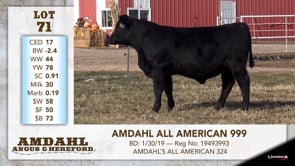 Lot #71 - AMDAHL ALL AMERICAN 999
