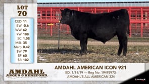 Lot #70 - AMDAHL AMERICAN ICON 921