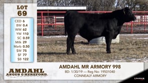 Lot #69 - AMDAHL MR ARMORY 998