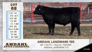 Lot #68 - AMDAHL LANDMARK 985