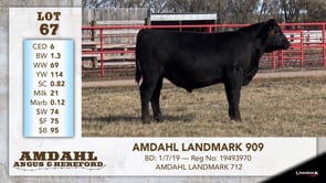 Lot #67 - AMDAHL LANDMARK 909