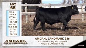 Lot #65 - AMDAHL LANDMARK 936