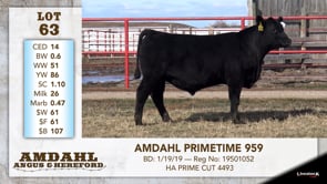 Lot #63 - AMDAHL PRIMETIME 959