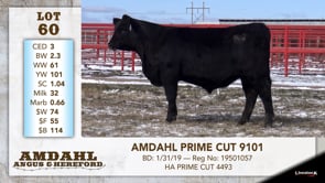 Lot #60 - AMDAHL PRIME CUT 9101
