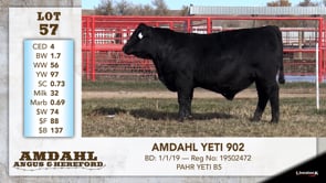 Lot #57 - AMDAHL YETI 902