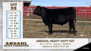 Lot #53 - AMDAHL HEAVY DUTY 927