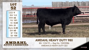 Lot #52 - AMDAHL HEAVY DUTY 980