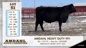 Lot #51 - AMDAHL HEAVY DUTY 991