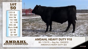 Lot #50 - AMDAHL HEAVY DUTY 918