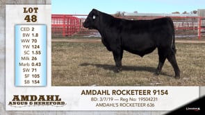 Lot #48 - AMDAHL ROCKETEER 9154