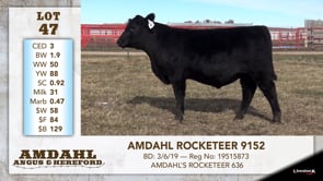 Lot #47 - AMDAHL ROCKETEER 9152