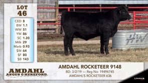 Lot #46 - AMDAHL ROCKETEER 9148