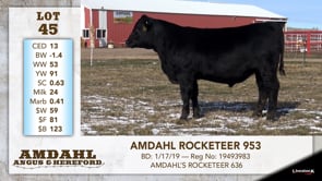 Lot #45 - AMDAHL ROCKETEER 953