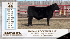 Lot #44 - AMDAHL ROCKETEER 9131