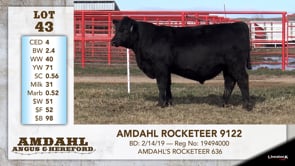 Lot #43 - AMDAHL ROCKETEER 9122