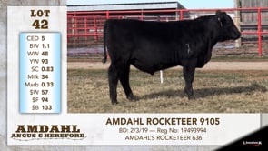 Lot #42 - AMDAHL ROCKETEER 9105