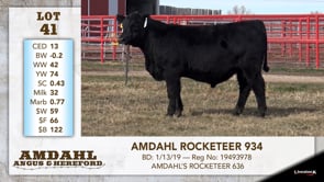 Lot #41 - AMDAHL ROCKETEER 934