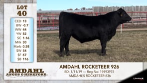 Lot #40 - AMDAHL ROCKETEER 926