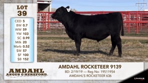 Lot #39 - AMDAHL ROCKETEER 9139