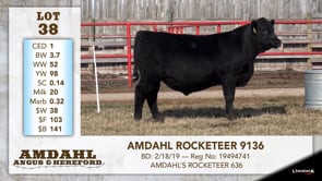 Lot #38 - AMDAHL ROCKETEER 9136