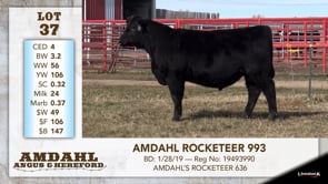 Lot #37 - AMDAHL ROCKETEER 993