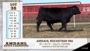 Lot #36 - AMDAHL ROCKETEER 986