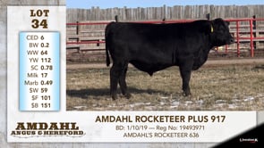 Lot #34 - AMDAHL ROCKETEER PLUS 917