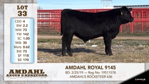 Lot #33 - AMDAHL ROYAL 9145