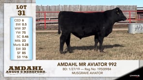 Lot #31 - AMDAHL MR AVIATOR 992