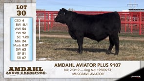 Lot #30 - AMDAHL AVIATOR PLUS 9107