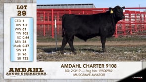 Lot #29 - AMDAHL CHARTER 9108