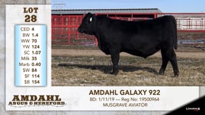 Lot #28 - AMDAHL GALAZY 922