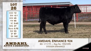 Lot #26 - AMDAHL ENHANCE 924