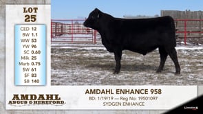 Lot #25 - AMDAHL ENHANCE 958