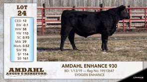 Lot #24 - AMDAHL ENHANCE 930