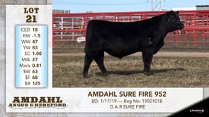 Lot #21 - AMDAHL SURE FIRE 952